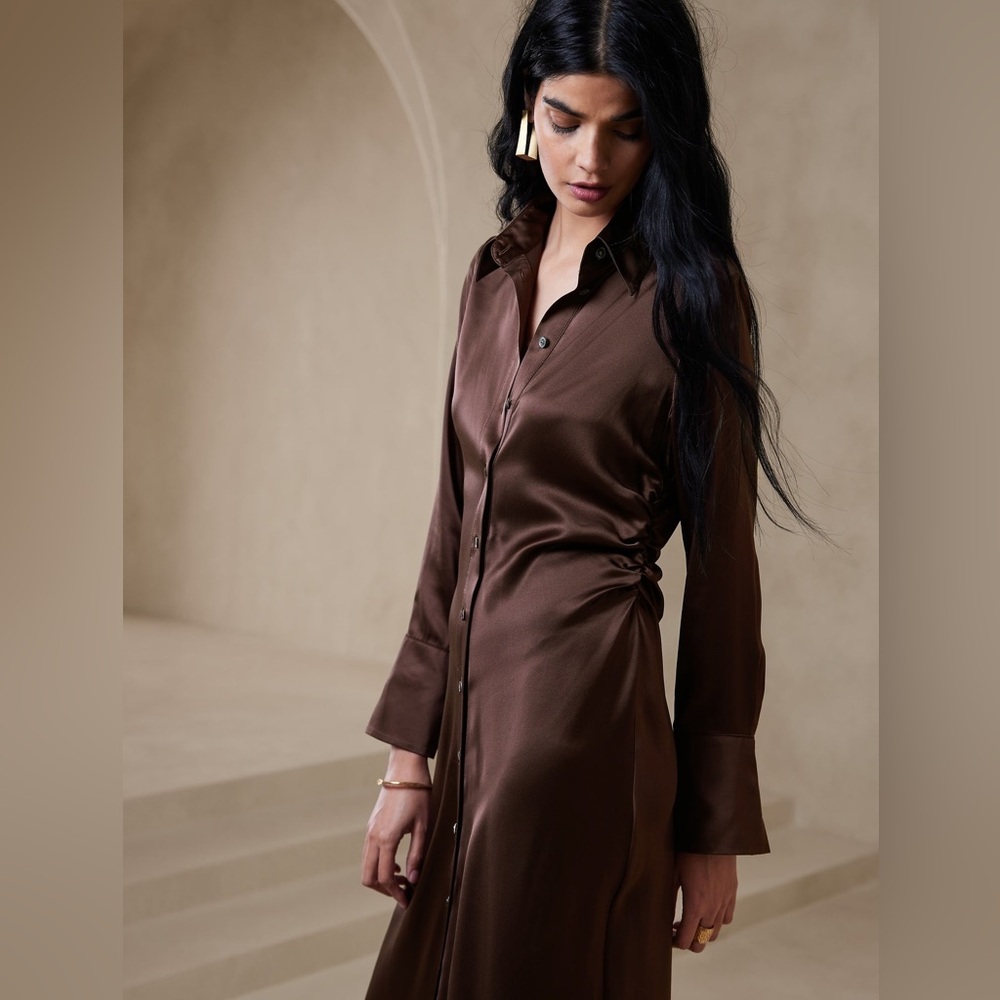 NWT Banana Republic Enchant 100% Silk Shirtdress sz M in Dark Brown